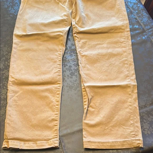 American Eagle Outfitters Beige/Mustard pants 29x30 - Picture 7 of 8